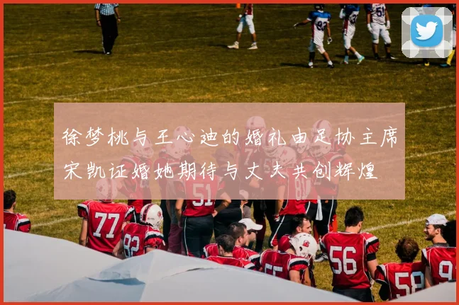徐梦桃与王心迪的婚礼由足协主席宋凯证婚她期待与丈夫共创辉煌